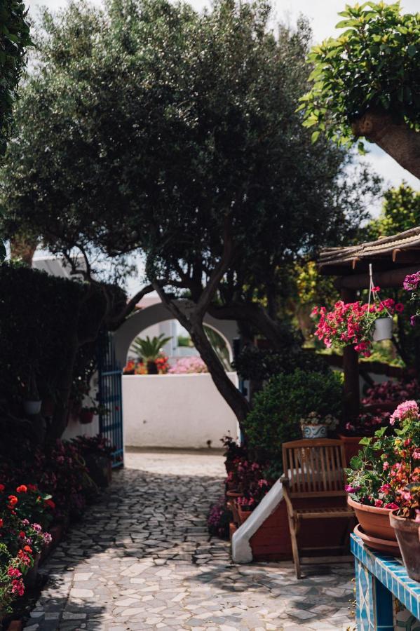 Hotel Villa Maria Sant'Angelo  Екстер'єр фото