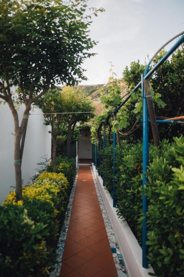 Hotel Villa Maria Sant'Angelo  Екстер'єр фото