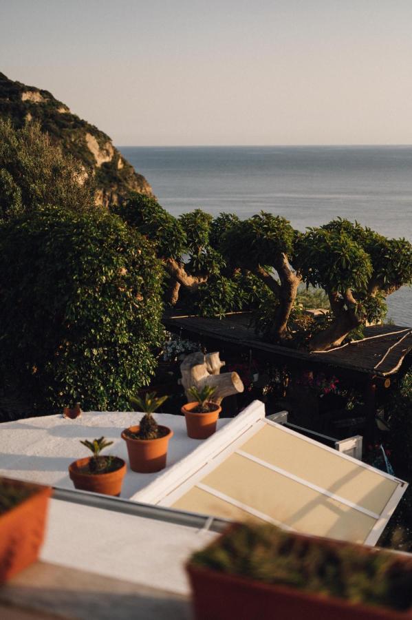 Hotel Villa Maria Sant'Angelo  Екстер'єр фото